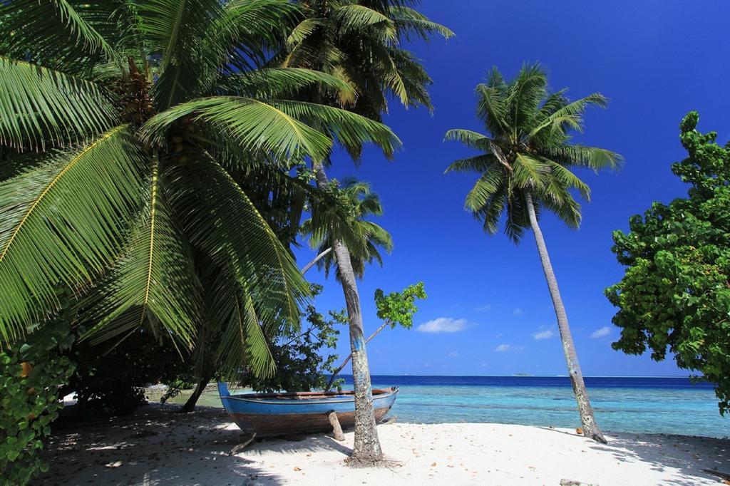 Local Island Inn Hangnaameedhoo Exterior photo