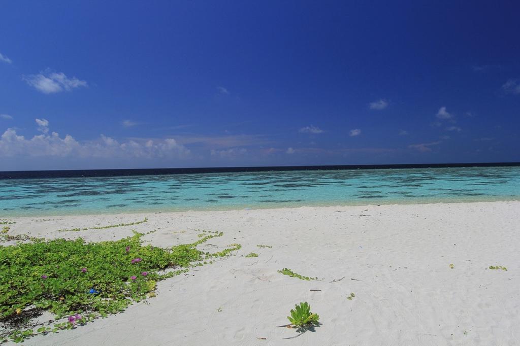 Local Island Inn Hangnaameedhoo Exterior photo